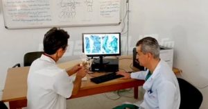 Opération réussie à l’hôpital Sahloul : extraction d’une tumeur pelvienne chez une jeune femme