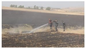 Incendie dévastateur à Jendouba : 15 hectares de blé perdus