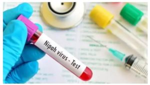 Nouveau virus : premier décès dû au virus Nipah au Kerala, en Inde