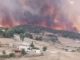 Urgence à Sejnane : les flammes menacent les habitants et couverts 50 hectares