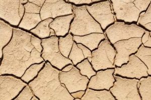 Crise de l’eau en Tunisie : Sousse en tête de la carte de la sécheresse