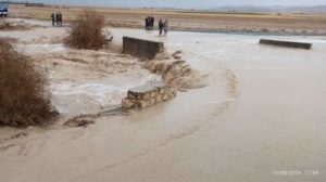 Pluies orageuses au Kef : un soulagement pour les agriculteurs