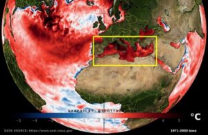 Réchauffement historique : la température de la mer Méditerranée atteint un record !