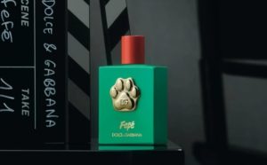 Fefé : le premier parfum pour chiens de Dolce&Gabbana