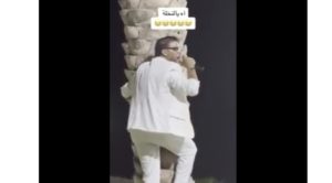 Un chanteur tunisien grimpe sur un palmier lors d’un mariage : la vidéo fait le buzz