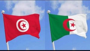 SONELGAZ secourt la Tunisie : fourniture record de 1000 MW d’électricité en un temps record