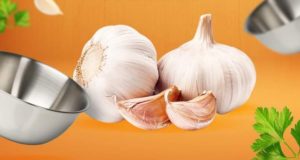 Les secrets de l’ail : comment le consommer pour en tirer tous les bienfaits