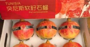 En Chine, la grenade tunisienne est considérée comme la meilleure au monde !