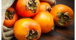 Béja : la mouche des fruits détruit un tiers de la récolte de kakis à Nefza