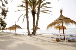 Tourisme à Djerba : près d’un million de visiteurs et 5,6 millions de nuitées en dix mois