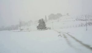 Neige, pluie et grêle : un climat hivernal intense en Tunisie