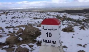 Siliana : Chutes de neige sur les hauteurs de Kesra et Makther