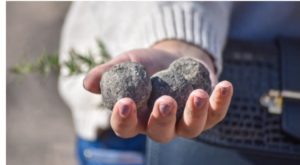 Siliana innove avec le reboisement par boules de graines sur 70 hectares