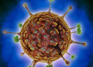 Épidémie en Chine : plus de 100 élèves touchés par un virus dangereux