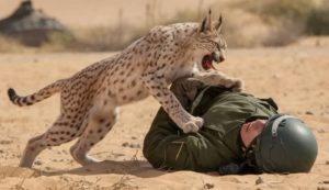 Quand le lynx égyptien devient un mythe pour masquer une impuissance …