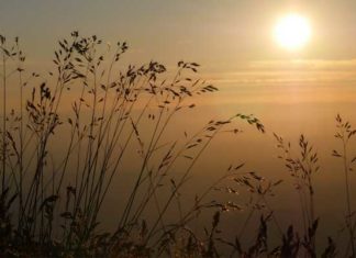 Tunisie : un début d’année 2026 marqué par des températures plus élevées et des précipitations inégales