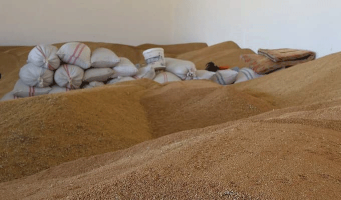 Alerte météo : le ministère de l’Agriculture appelle à la vigilance