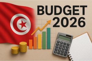 Loi de finances 2026 : les députés rejettent la prolongation de la contribution sociale de solidarité