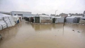 FB_IMG_1763235262551 Gaza sous les pluies : l’UNRWA alerte sur une catastrophe humanitaire imminente