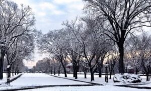 Tunisie : aujourd’hui 29 novembre marque officiellement l’entrée dans l’hiver agricole