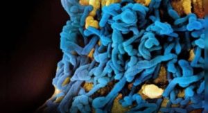 Éthiopie : six morts dans la nouvelle flambée du virus Marburg