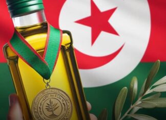 Huile d’olive tunisienne : “Toukaber” sacrée meilleure huile biologique au monde pour la 10ᵉ fois
