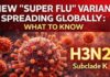 Grippe saisonnière : le Pr Riadh Daghfous appelle à accélérer la vaccination face au variant K