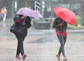 Météo Tunisie : pluies orageuses et vents forts jusqu’à 80 km/h attendus samedi, selon l’INM