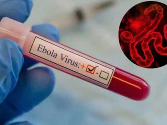 Ebola au Brésil : deux patients placés en isolement par précaution