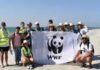 Le galion portugais de nouveau observé sur les côtes tunisiennes, aucune blessure signalée