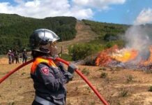 Risque élevé d’incendies : le ministère de l’Agriculture appelle à une vigilance maximale