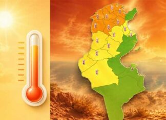 Sidi Bouzid-Vague de chaleur : Plusieurs superficies agricoles endommagées