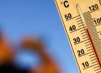 Tunisie : Prévisions météo du mardi 4 août 2026